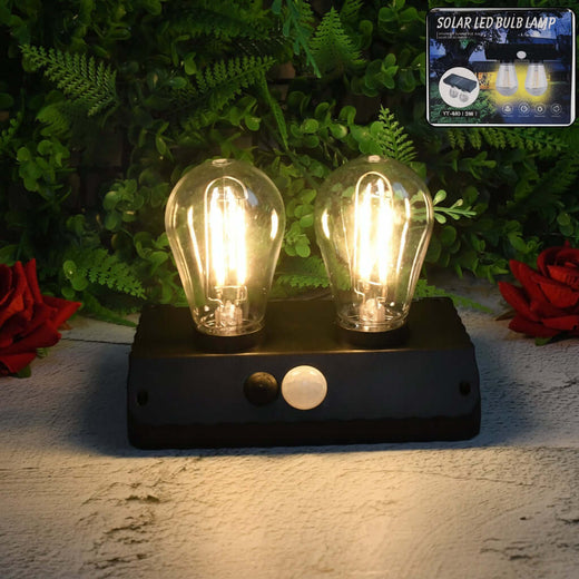Solar Double LED Wall Lamp (2W)