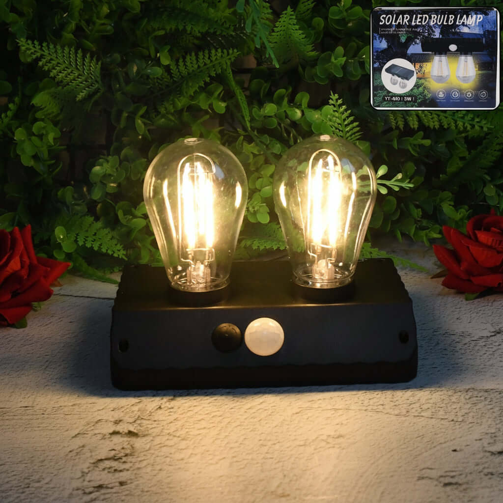 Solar powered LED wall lamp showcasing two LED bulbs on a stylish black base, ideal for outdoor use.