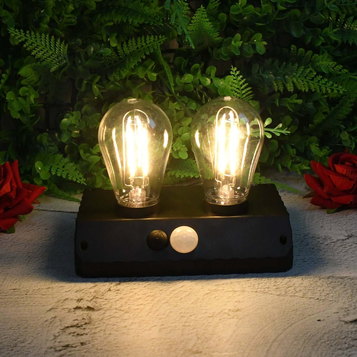 Solar powered LED wall lamp with two glowing bulbs against greenery background.